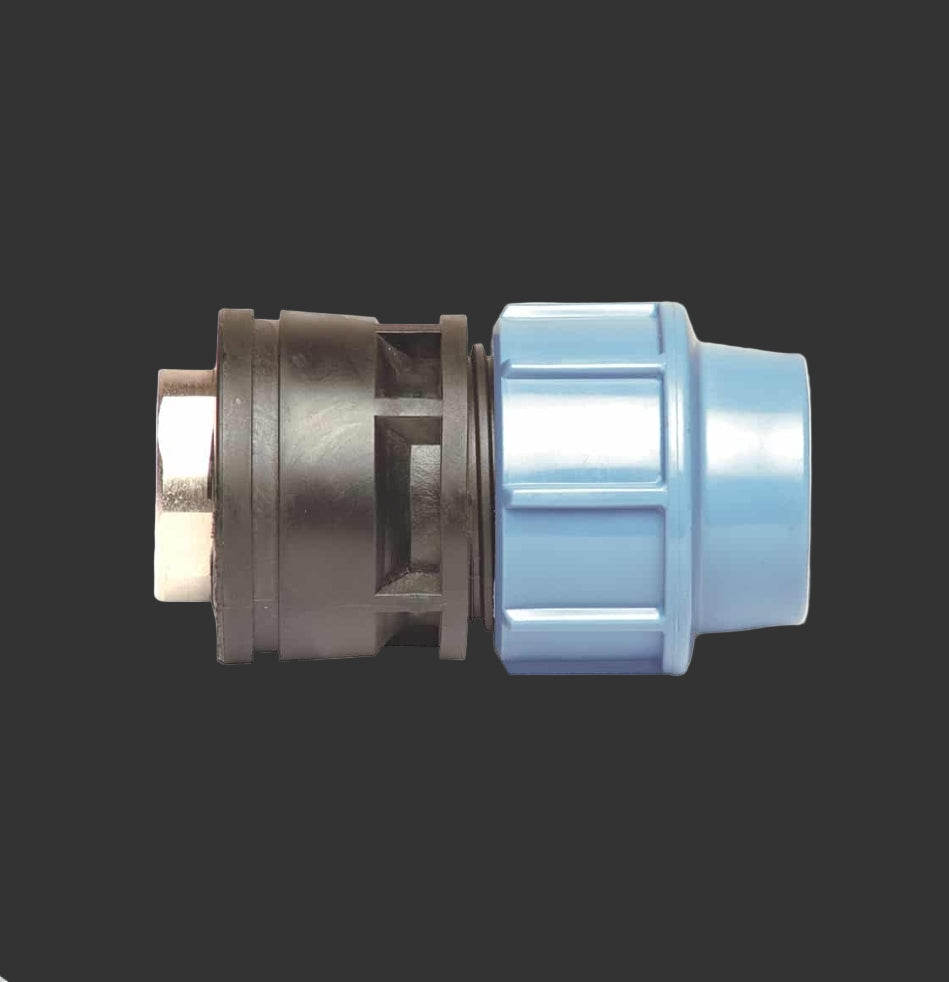 Raccord Taraudé avec Insert Laiton (Certification : ACS)